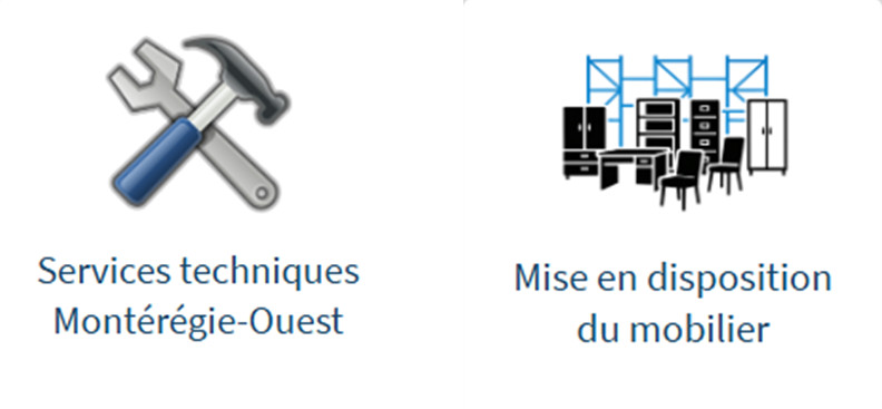 Octopus-Mise en disposition