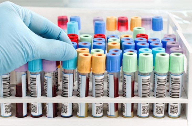 entete-transport-labo