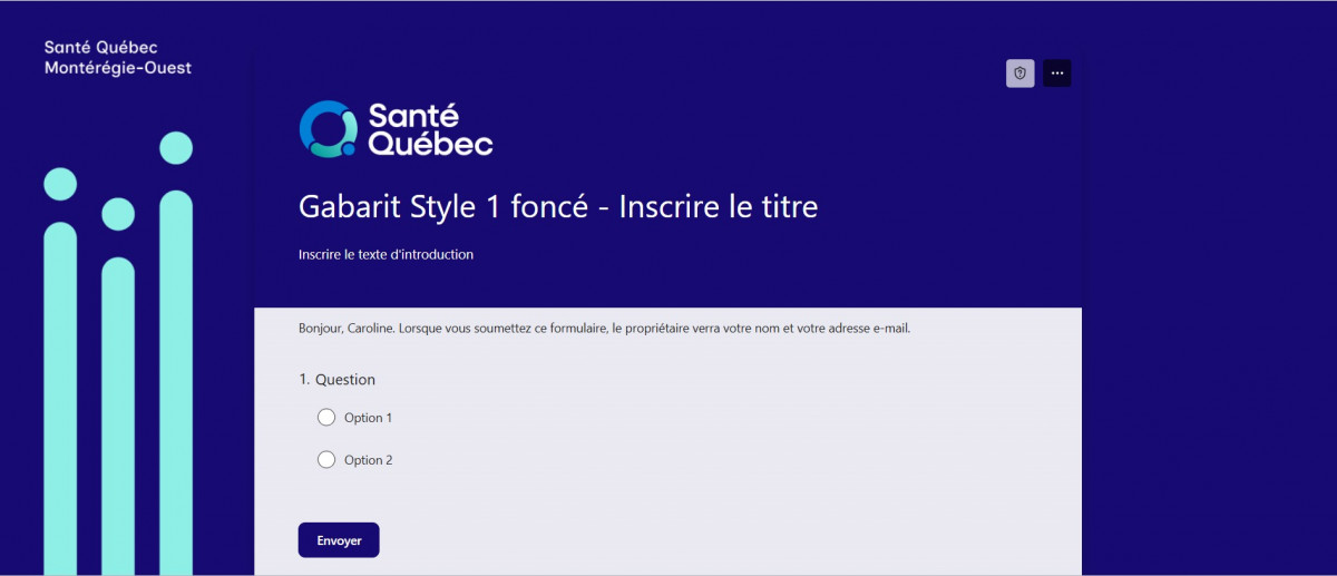 forms-style1-fonce
