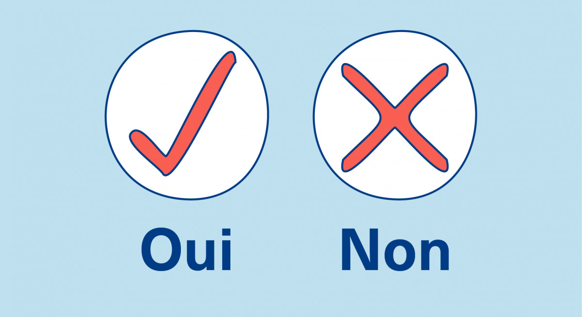 fint-sondage-oui-non-me-bleu-pale