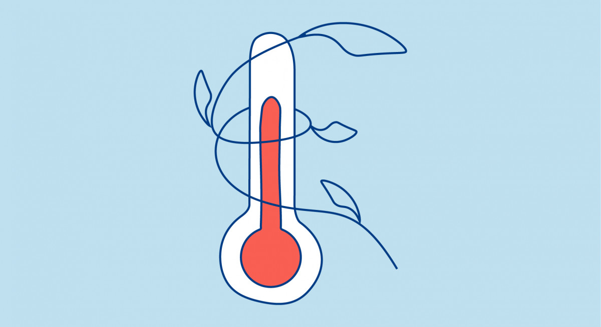 fint-thermometre-me