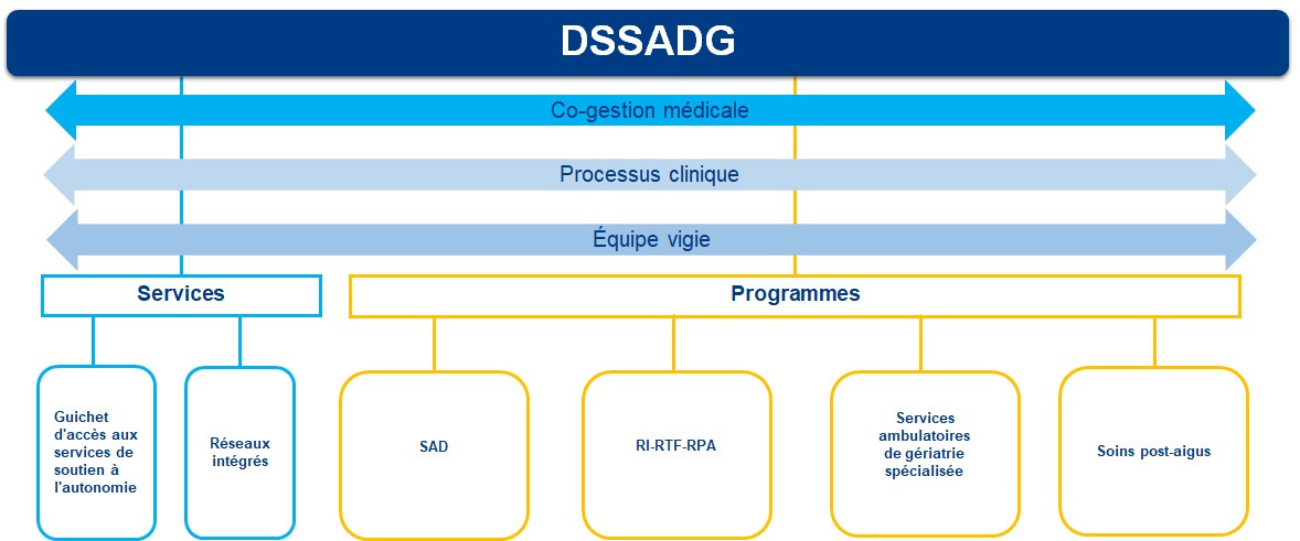 dssadg-processus-clinique-cogestion-medicale