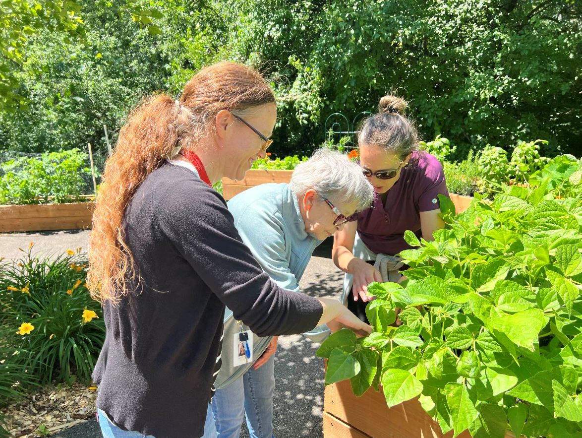 potager-chsld-vaudreuil