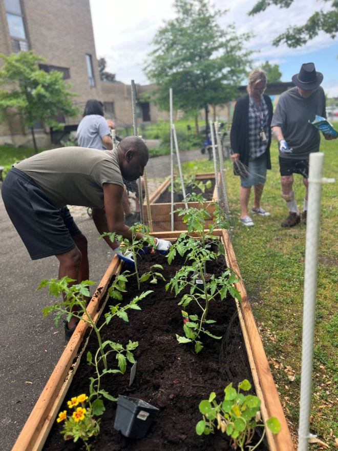 potager-chsld-vaudreuil