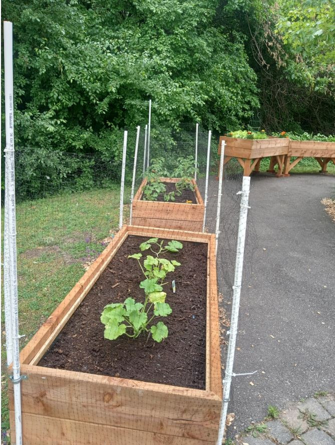 potager-chsld-vaudreuil