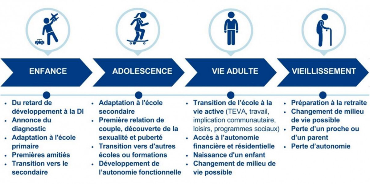 types-de-clientele-dil-dim