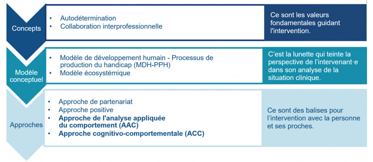 processus-interventions-et-collaboration-pour-les-comportements-problematiques-en-di-tsa-specialise