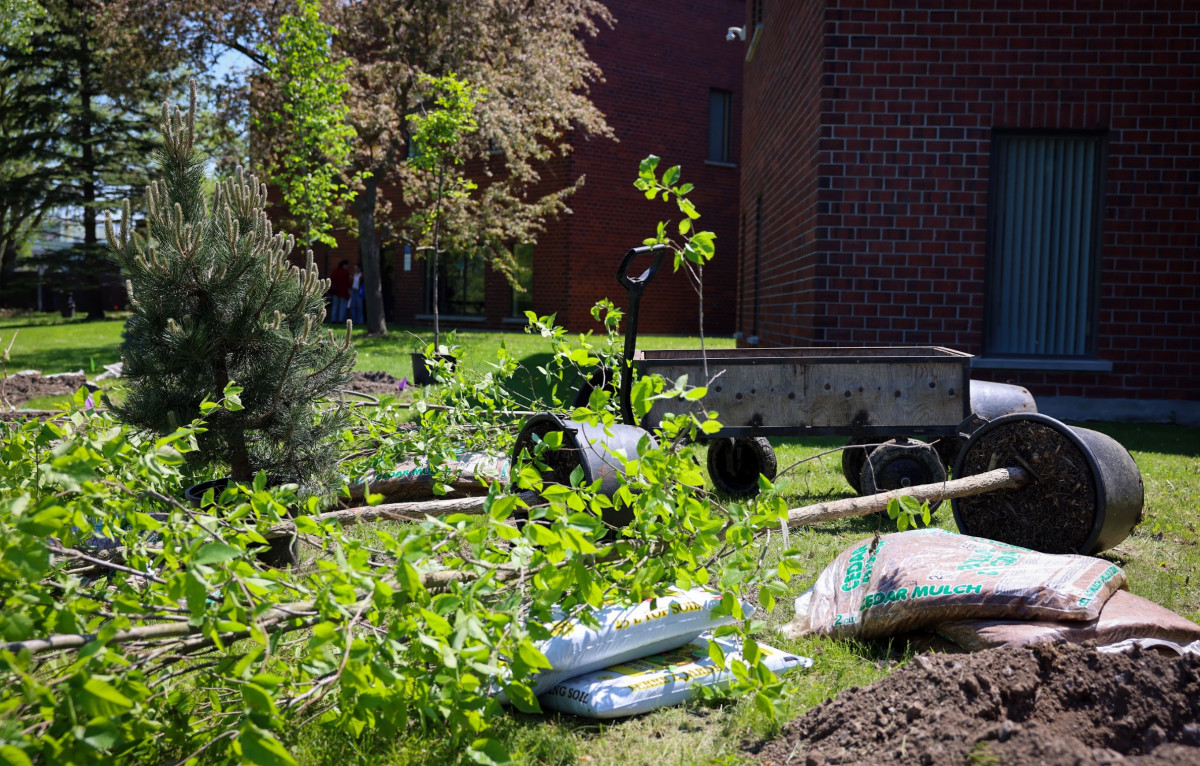 candiac-soverdi-plantation-062026