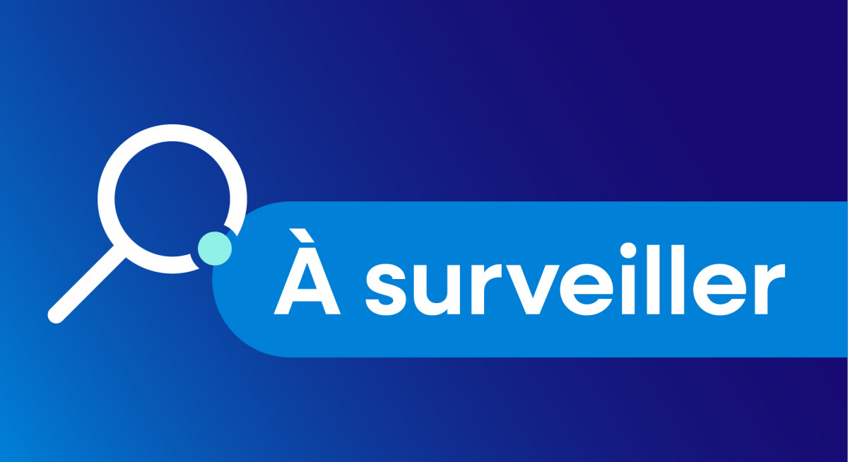 fint-surveiller-loupe-s2